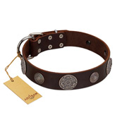 "Flashy Woof" FDT Artisan Brown Leather Dogue de Bordeaux Collar with Chrome Plated Brooches