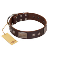 "Stone Stars" Stylish Handmade FDT Artisan Brown Leather Dogue de Bordeaux Collar