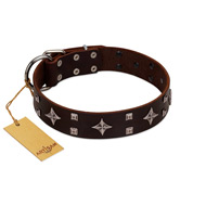 "Trendy Candy" FDT Artisan Brown Leather Dogue de Bordeaux Collar Adorned with Stars and Tiny Squares