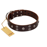 "Skull Valley" Handcrafted FDT Artisan Brown Leather Dogue de Bordeaux Collar with Skulls