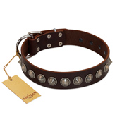 "Gothic Style" FDT Artisan Fancy Brown Leather Dogue de Bordeaux Collar with Silver-Like Decorations