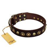 "Street Fashion" FDT Artisan Brown Leather Dogue de Bordeaux Collar Adorned with Circles and Skulls