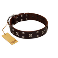 "Bigwig Woof" FDT Artisan Brown Leather Dogue de Bordeaux Collar with Chrome Plated Stars and Square Studs