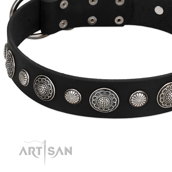 Full grain leather collar with rust resistant fittings for your beautiful pet