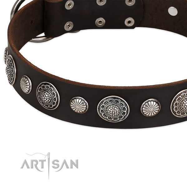 Full grain genuine leather collar with durable traditional buckle for your beautiful canine