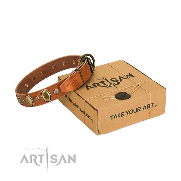 Studded genuine leather dog collar with rust resistant traditional buckle