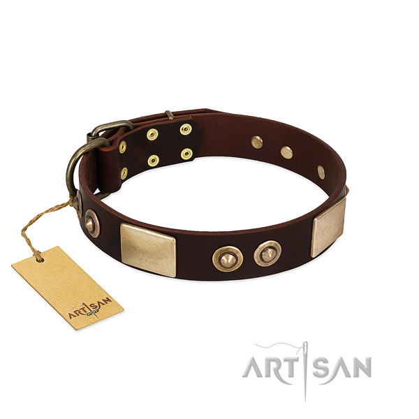 Easy adjustable full grain leather dog collar for daily walking your canine