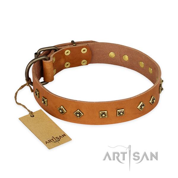 Unusual genuine leather dog collar with corrosion resistant hardware