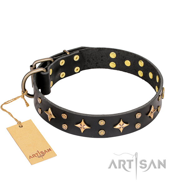 Daily walking dog collar of top notch natural leather with studs