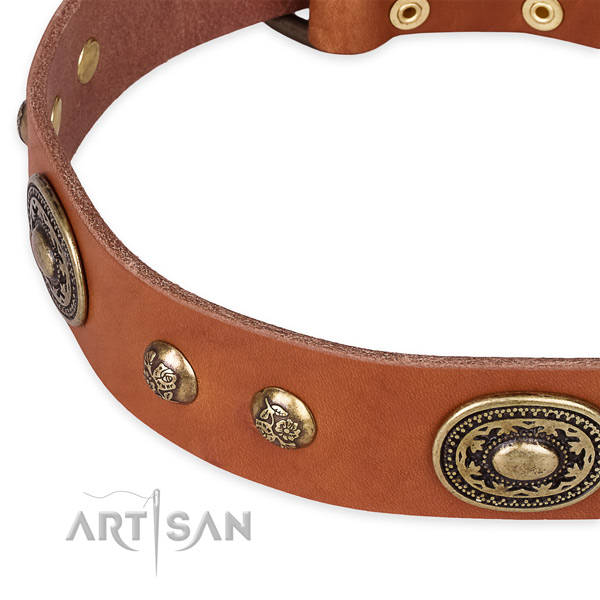 Comfortable genuine leather collar for your handsome dog