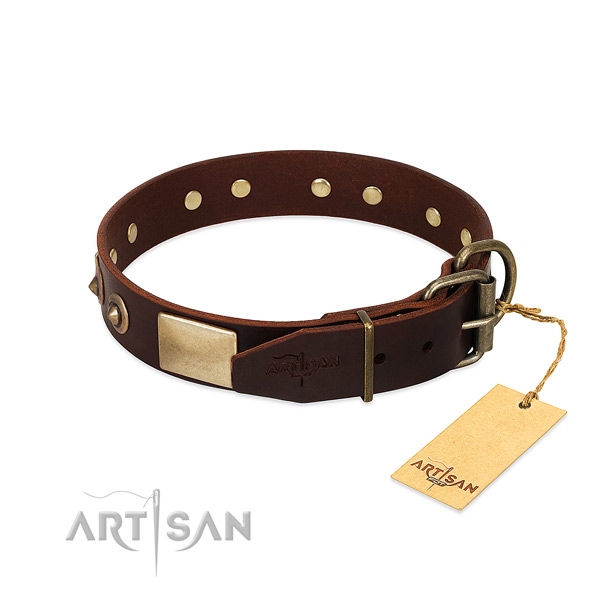 Strong fittings on everyday walking dog collar