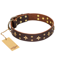 "High Fashion" FDT Artisan Embellished Brown Leather Dogue de Bordeaux Collar