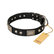 "Pirates Gold" FDT Artisan Black Leather Dogue de Bordeaux Collar with Old Silver Look Plates and Skulls