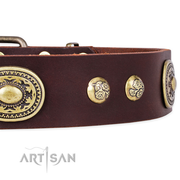 Trendy leather collar for your stylish dog
