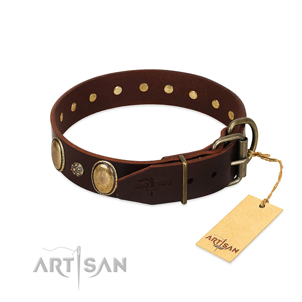 Fancy walking flexible leather dog collar