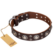"Age of Beauty" FDT Artisan Incredible Studded Brown Leather Dogue de Bordeaux Collar