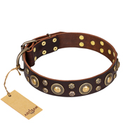 "Flower Melody" FDT Artisan Brown Leather Dogue de Bordeaux Collar with Mixed Studs