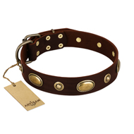 "Hebe's Jewel" FDT Artisan Brown Genuine Leather Dogue de Bordeaux Collar