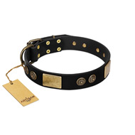 "Chicci-Glam" FDT Artisan Black Leather Dogue de Bordeaux Collar with Plates and Ornate Studs