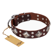 "King of Grace" FDT Artisan Stylish Leather Dogue de Bordeaux Collar with Old Silver-Like Plated Decorations