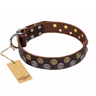 "Strong Shields" FDT Artisan leather Dogue de Bordeaux collar with stylish decorations