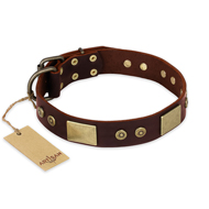 "Shining Armour" FDT Artisan Brown Leather Dogue de Bordeaux Collar with Decorations