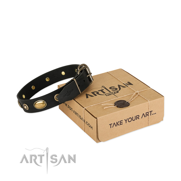 Corrosion proof D-ring on natural leather dog collar for your canine