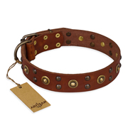 "Unfailing Charm" FDT Artisan Studded Tan Leather Dogue de Bordeaux Collar