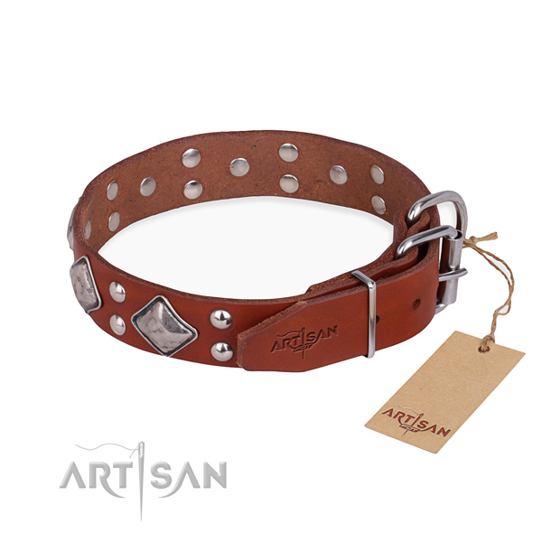 Full grain leather dog collar with unique strong embellishments