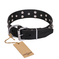 "Mystic Skulls" Decorated Leather Dogue de Bordeaux Collar with Skulls and Studs