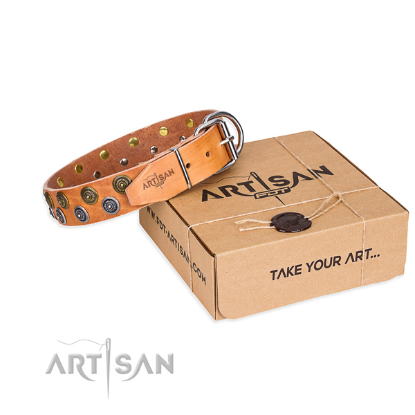 Fancy walking dog collar of best quality genuine leather with studs