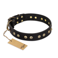 "Black Elegance" FDT Artisan Leather Dogue de Bordeaux Collar with Round Studs
