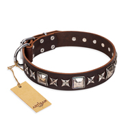 "Perfect Impression" FDT Artisan Brown Leather Dogue de Bordeaux Collar with Silvery Square Studs