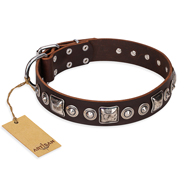 "Pierian spring" FDT Artisan Brown Leather Dogue de Bordeaux Collar with Silvery Decorations
