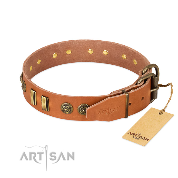 Corrosion proof D-ring on leather dog collar for your four-legged friend