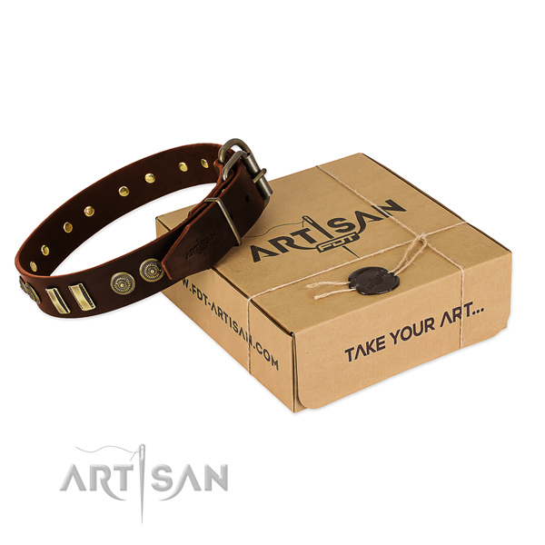 Rust-proof embellishments on natural leather dog collar for your pet