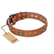 "Stunning Dress" FDT Artisan Tan Leather Dogue de Bordeaux Collar with Old Bronze Look Plates and Studs