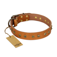 "Autumn Story" FDT Artisan Leather Dogue de Bordeaux Collar with Old Bronze Look Studs