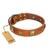 "Celtic Tunes" FDT Artisan Tan Leather Dogue de Bordeaux Collar Adorned with Stars and Squares