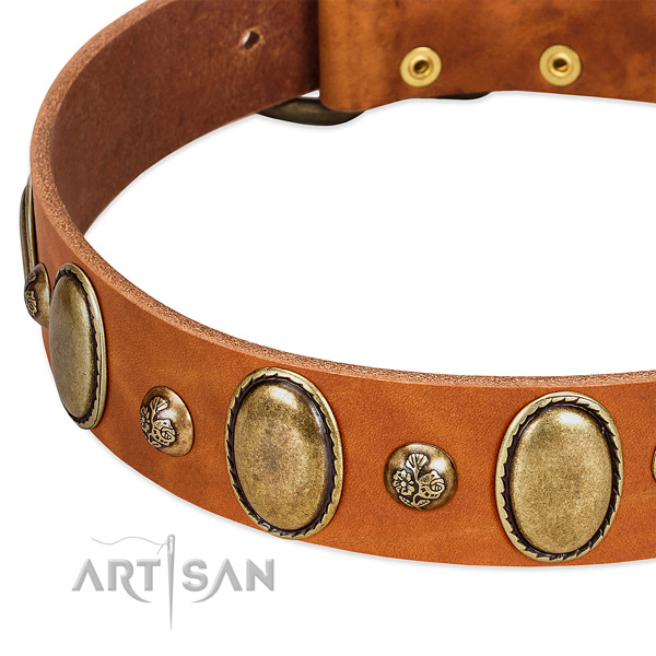Full grain leather dog collar with significant embellishments