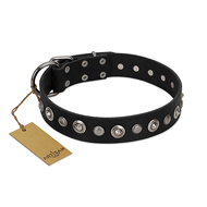 "Genteel Charm" FDT Artisan Black Leather Dogue de Bordeaux Collar with Silver-like Round Conchos