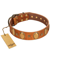 "Glossy Autumn" Designer Handmade FDT Artisan Tan Leather Dogue de Bordeaux Collar with Ovals and Studs