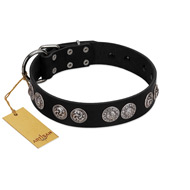 "Magic Amulete" Handcrafted FDT Artisan Black Leather Dogue de Bordeaux Collar with Chrome-Plated Shields