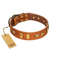 "Egyptian Script" FDT Artisan Tan Leather Dogue de Bordeaux Collar with Plates and Small Studs