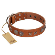 "Splendid Armor" Premium Quality FDT Artisan Tan Designer Dogue de Bordeaux Collar with Shields and Stars