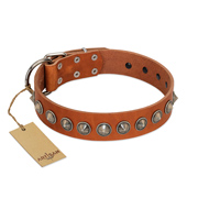 "Silver Spike" Handmade FDT Artisan Tan Leather Dogue de Bordeaux Collar with Old Silver-Like Spikes