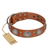 "Far Star" FDT Artisan Tan Leather Dogue de Bordeaux Collar with Engraved Studs