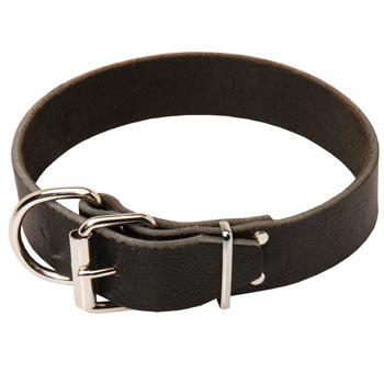 Dogue de Bordeaux Leather Collar