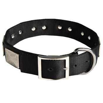 Designer Nylon Dog Collar Wide with Easy Release Buckle for   Dogue de Bordeaux