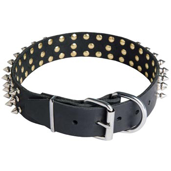 Spiked Buckle Collar for Dogue de Bordeaux